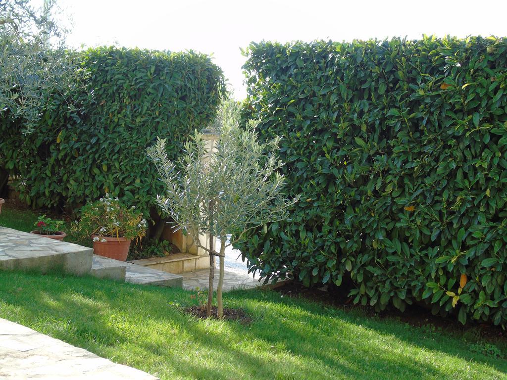 פורץ Apartment Karla מראה חיצוני תמונה